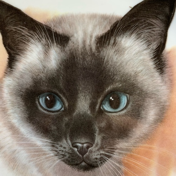 Meet your Posher, Eclectic Classic - Picture 1 of 1